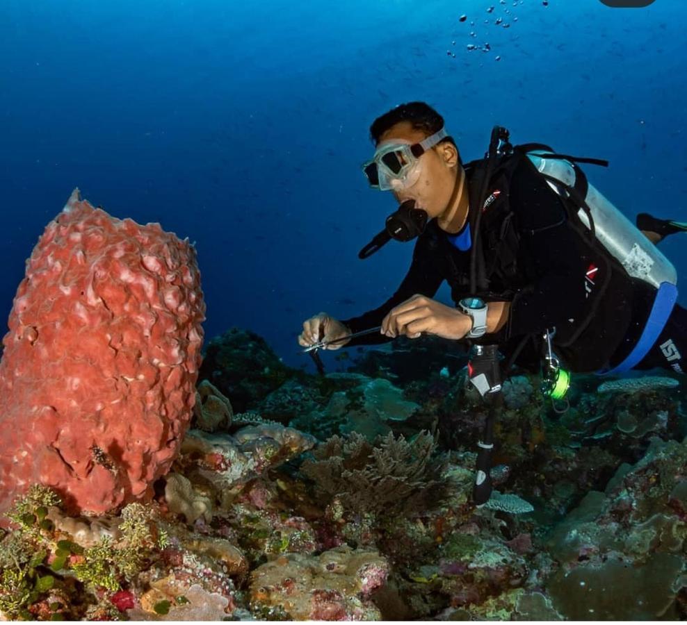 Marind Dive Eco Resort Waha المظهر الخارجي الصورة