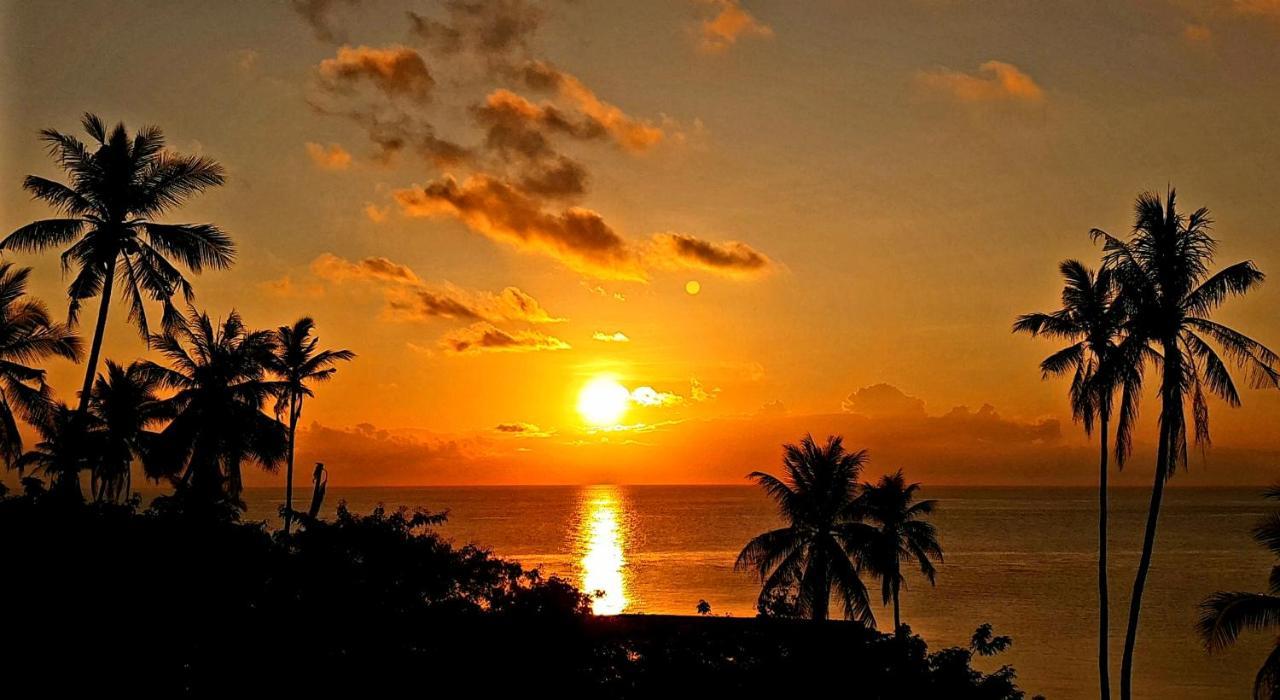 Marind Dive Eco Resort Waha المظهر الخارجي الصورة